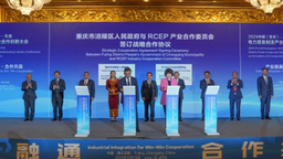 2024中国（重庆）—东盟电力装备制造产业合作创新大会在涪陵开幕