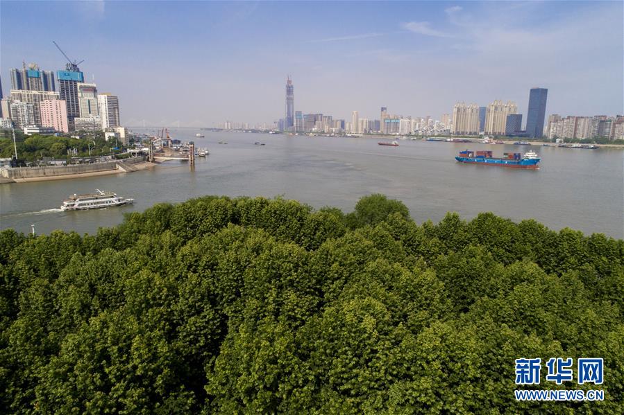 武汉：打造长江“绿色岸线”