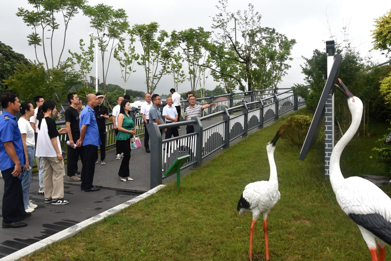 九江湖口：保护湿地候鸟建设生态湖口 网络名人打卡林业局开放日_fororder_图片19