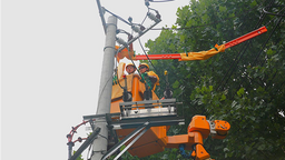 国网仙桃市供电公司：加强带电作业能力 助力企业生产增效