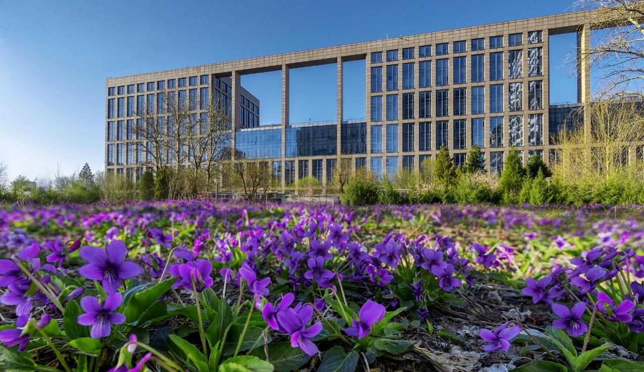 图片默认标题_fororder_5