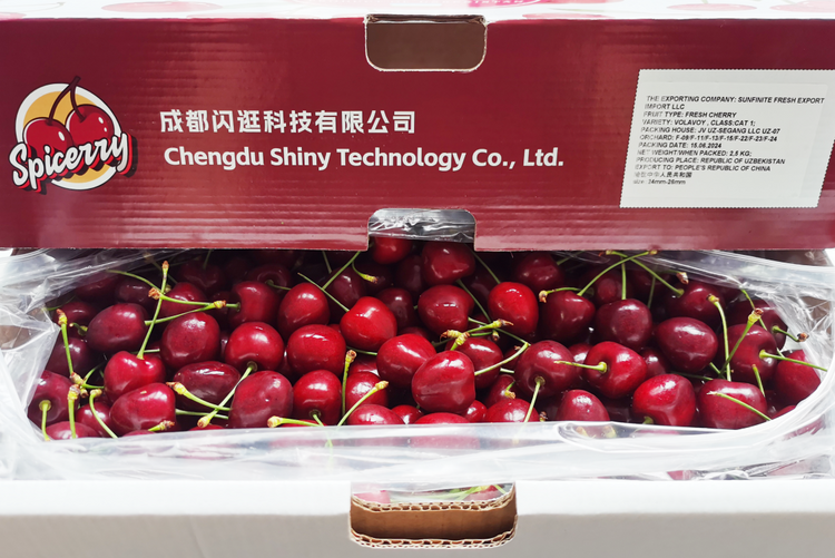 （转载）乌兹别克斯坦车厘子首次抵蓉