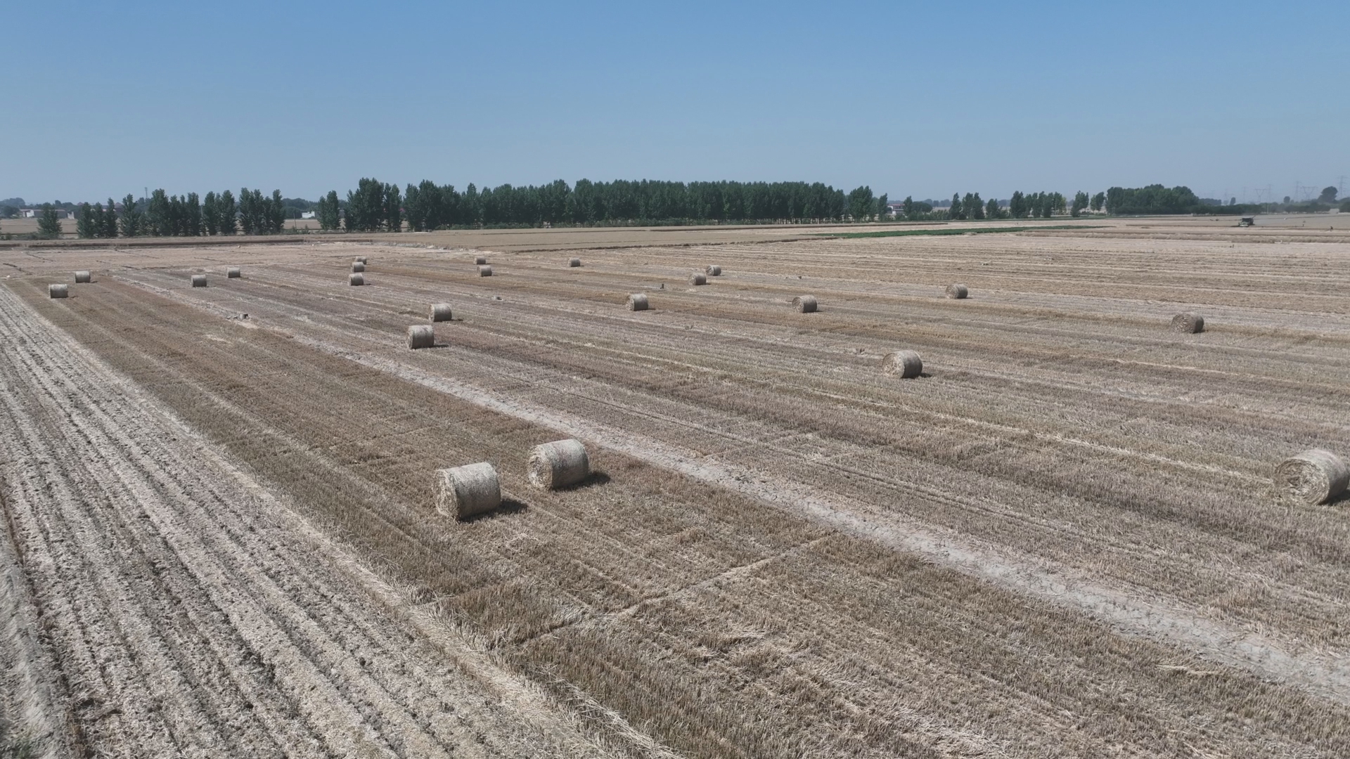 河北清苑：秸秆变“废”为宝 助推农业生产绿色发展_fororder_打捆后的秸秆整齐摆放。高源 摄