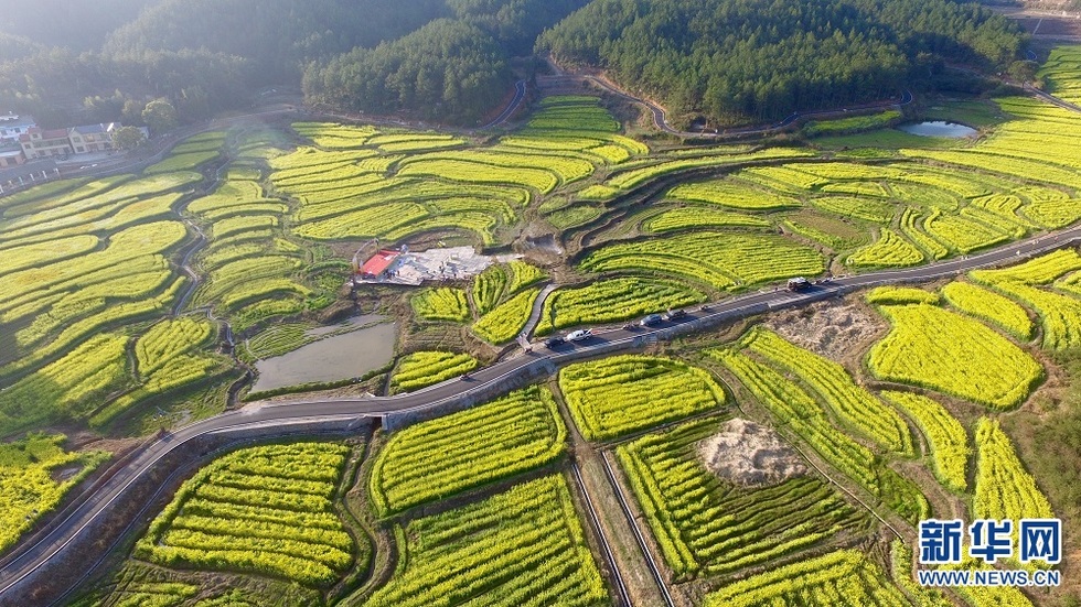 农民画之乡万安田北画村 油菜花海里的“童话世界”
