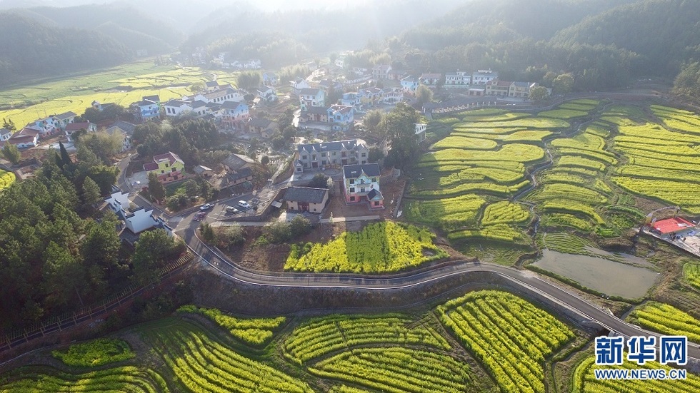 农民画之乡万安田北画村 油菜花海里的“童话世界”