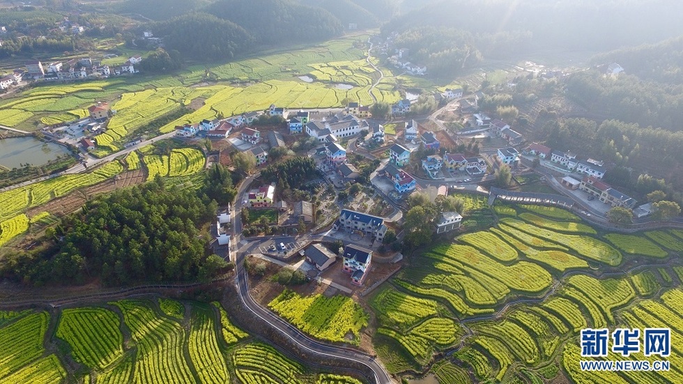农民画之乡万安田北画村 油菜花海里的“童话世界”
