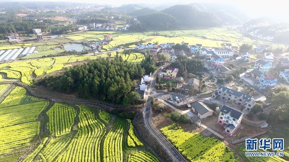 农民画之乡万安田北画村 油菜花海里的“童话世界”