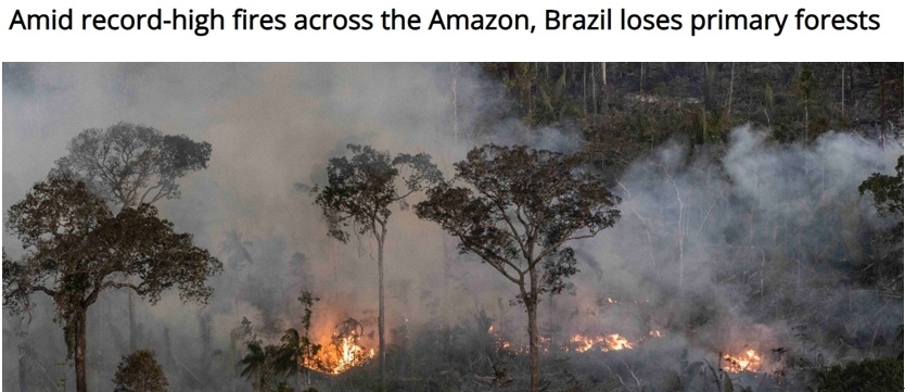 高温导致巴尔干地区多国电网崩溃 巴西湿地火灾频发破历史纪录