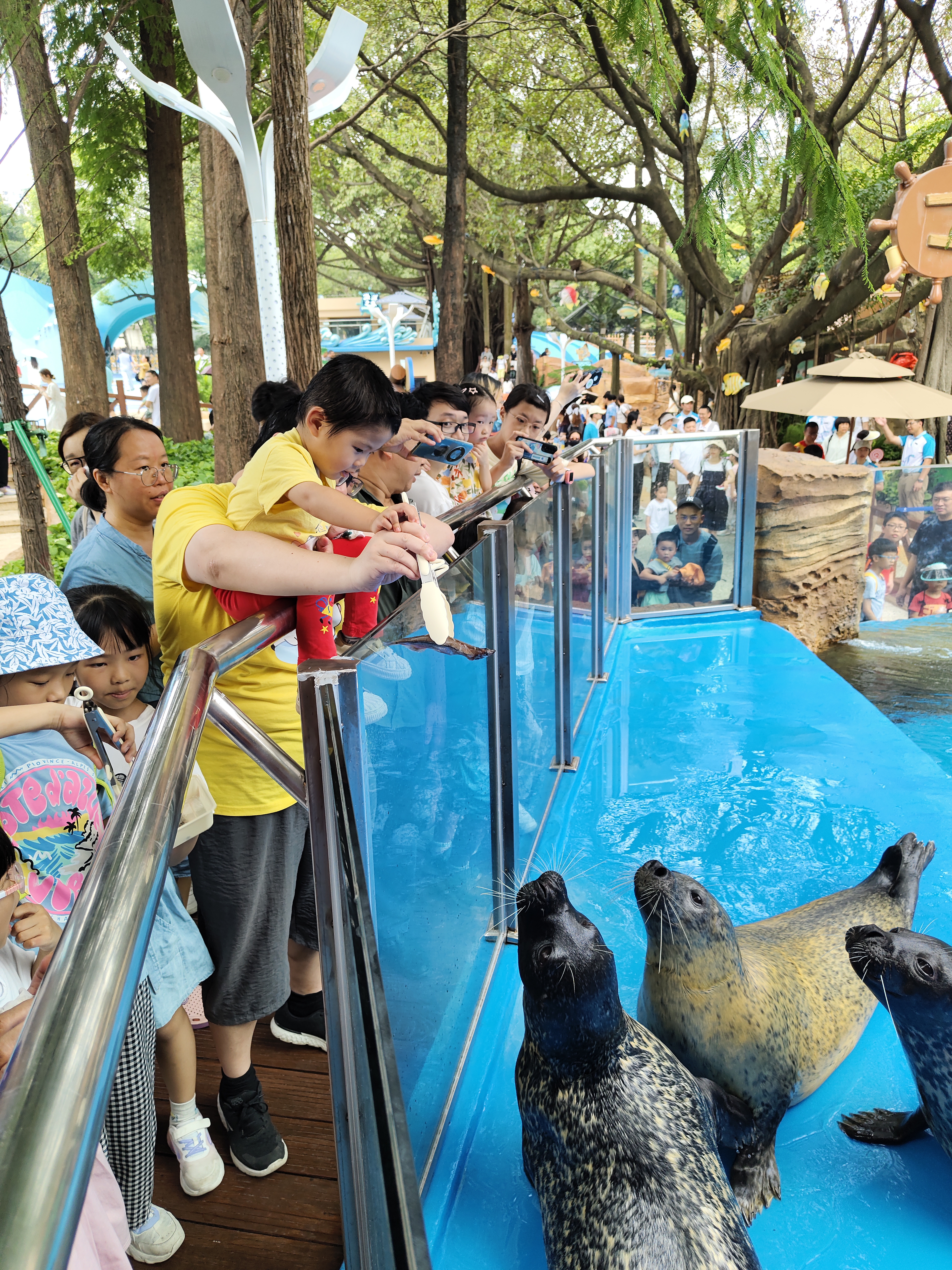 时光流转 记忆重燃 广州海洋馆焕新归来 再续海洋奇缘_fororder_110