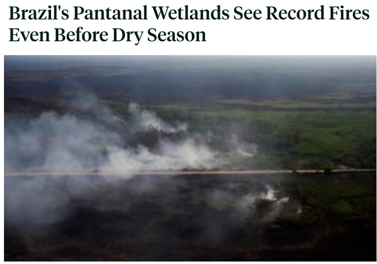 高温导致巴尔干地区多国电网崩溃 巴西湿地火灾频发破历史纪录