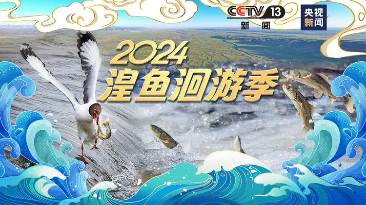 总台周末看点丨乐（yuè）来，越好！