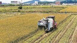 福建省农业农村厅：投入6100台收割机抢收早稻
