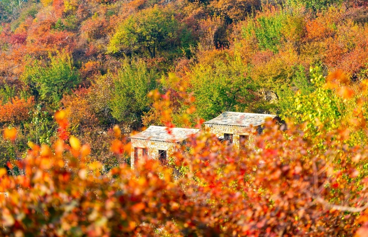 图片默认标题_fororder_微信图片_20191105144602