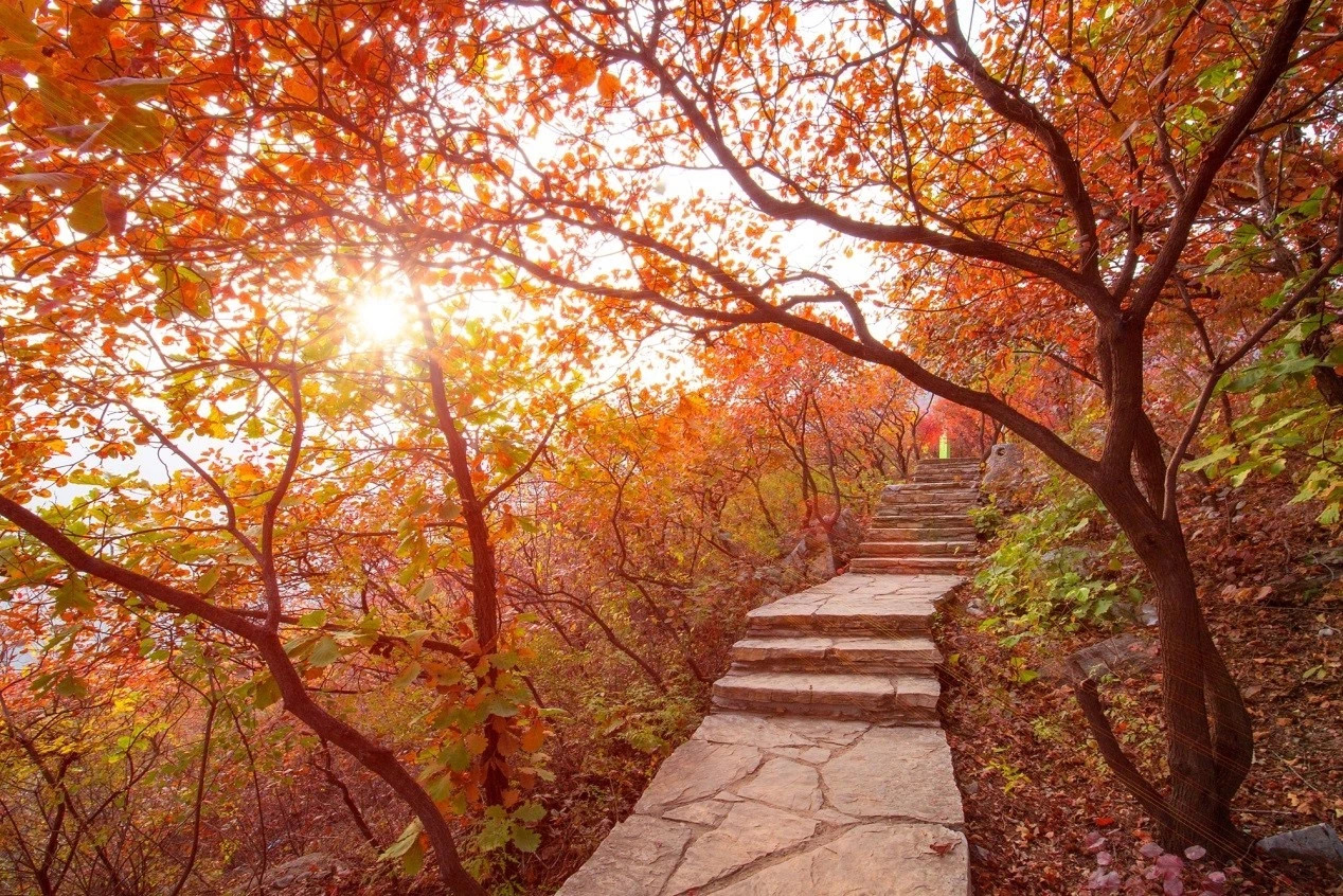 图片默认标题_fororder_微信图片_201911051446021