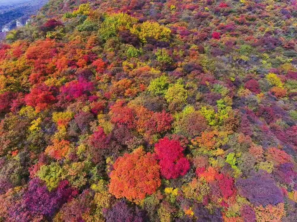 图片默认标题_fororder_微信图片_201911051446025