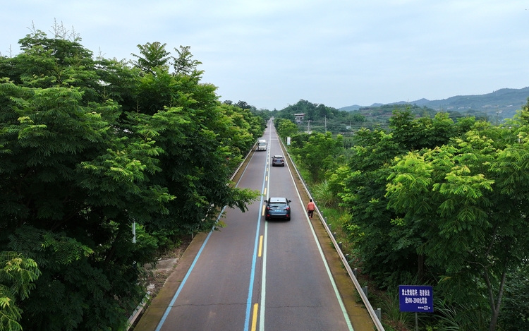 四川仁寿：“四好农村路” 助产业振兴_fororder_6月25日，航拍仁寿县曹家镇的乡村路。 07 (1)