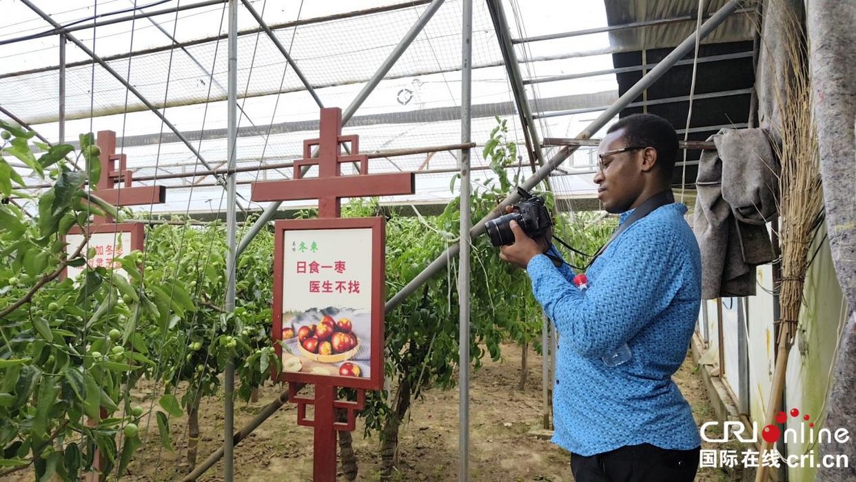 Des journalistes de 27 pays africains découvrent les opportunités à Weinan : explorer le « secret » de vitalité du développement de la Chine_fororder_图片11