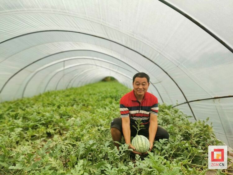 （转载）沿滩区：更好发挥“赈”的作用 让村民就业增收“富起来”