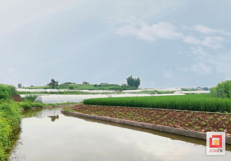 （转载）沿滩区：更好发挥“赈”的作用 让村民就业增收“富起来”