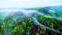 满满的幸福感！十年来贵州新改建农村公路9.2万公里