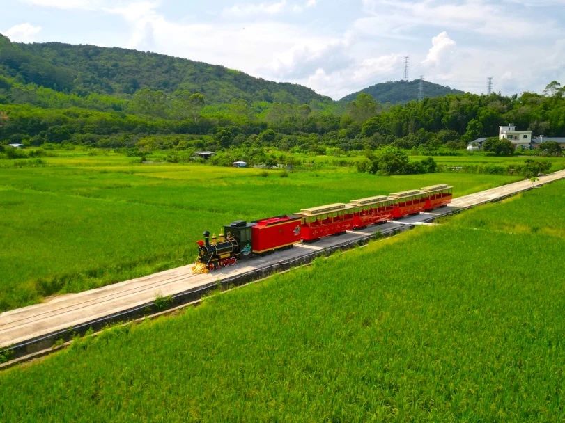 与荔同行 畅享正果风情 增城荔枝文化旅游季6月28日启幕_fororder_503