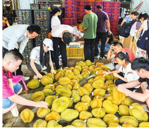 南寧：夏季“鮮”上市 盡享水果季