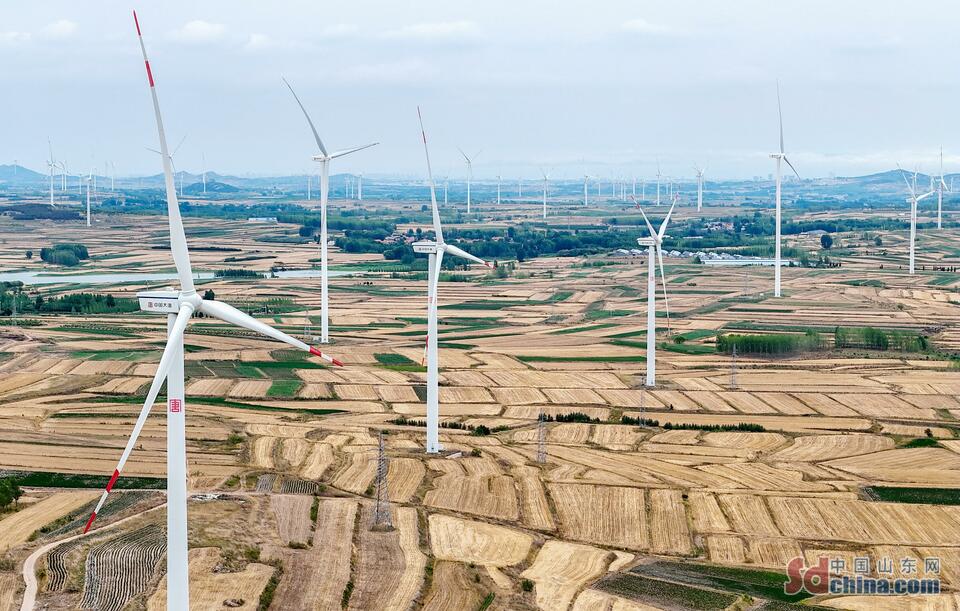 山东青岛：清洁能源助力乡村振兴