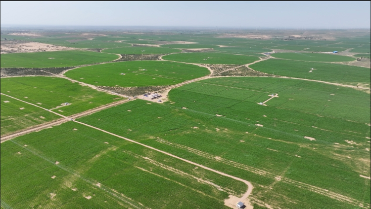 鄂爾多斯鄂托克前旗:滿弓發力強時間 奮力衝刺“全年紅”_fororder_鄂托克2