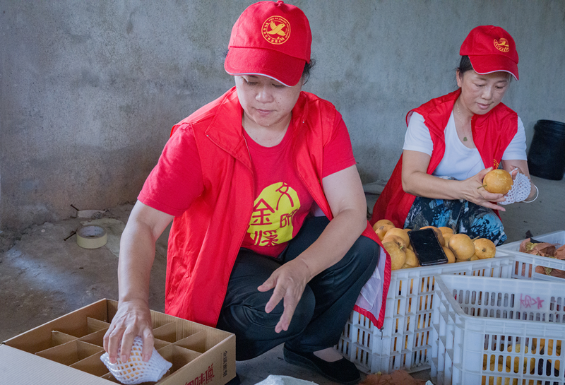 江西金溪：盛夏果园“助农热”_fororder_图片19