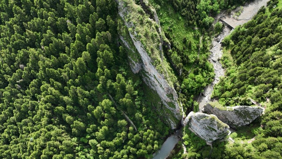 【原创】甘肃甘南山水秘境大峪沟_fororder_9