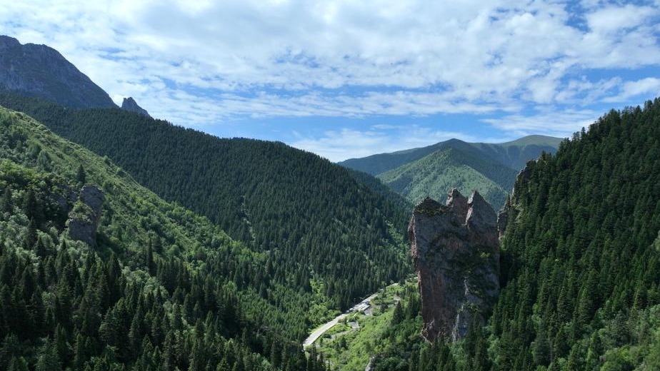 【原创】甘肃甘南山水秘境大峪沟_fororder_3