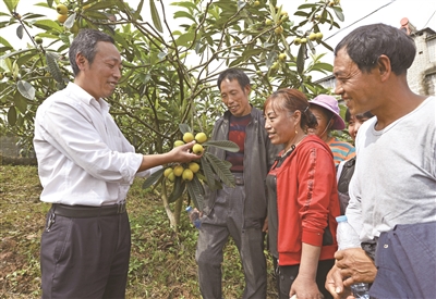 【区县联动】【涪陵】【区县联动列表】涪陵：农民采果忙 技术培训到田间地头