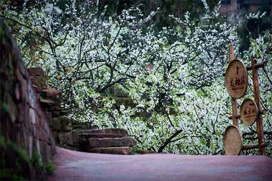 眉山丹棱幸福古村——中國美麗鄉村典範 眉山丹棱幸福古村——中國美麗鄉村典範