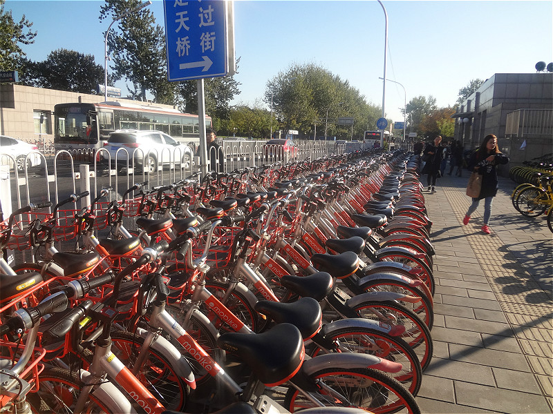 [Beijing in International Friends' Eyes] Shared bicycles on the road