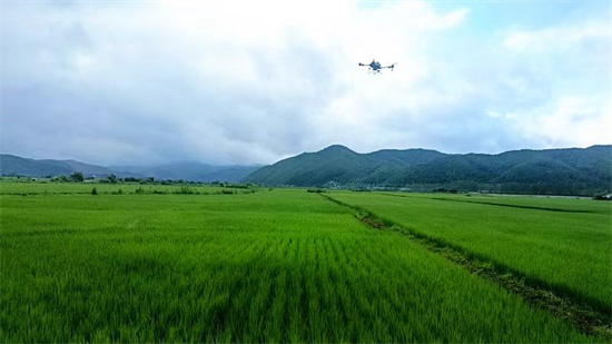 吉林安圖：小小無人機 “慧”農更惠農_fororder_微信圖片_20240730153858