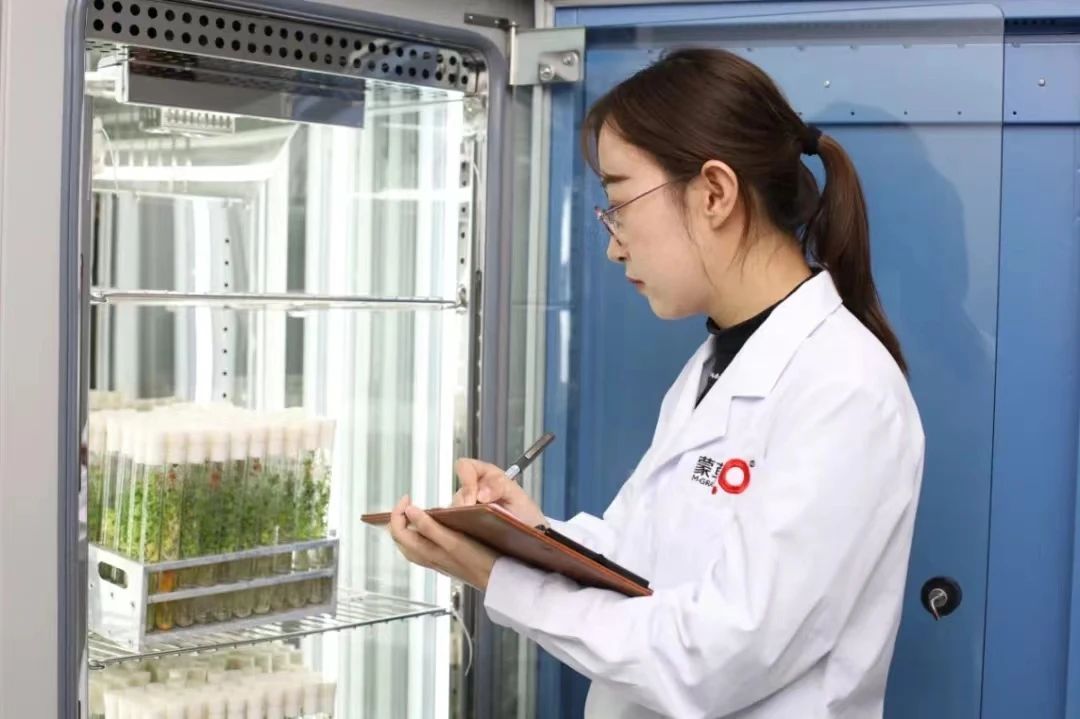 呼和浩特的“草”不一般！_fororder_微信圖片_20240702160125