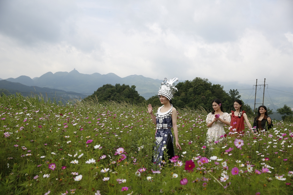 六盤水市鍾山區雙戛鄉絢麗花海引客來_fororder_微信圖片_20240702114450