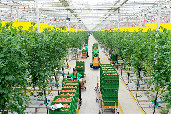 （转载）新质生产力领航现代智慧农业好“丰”光