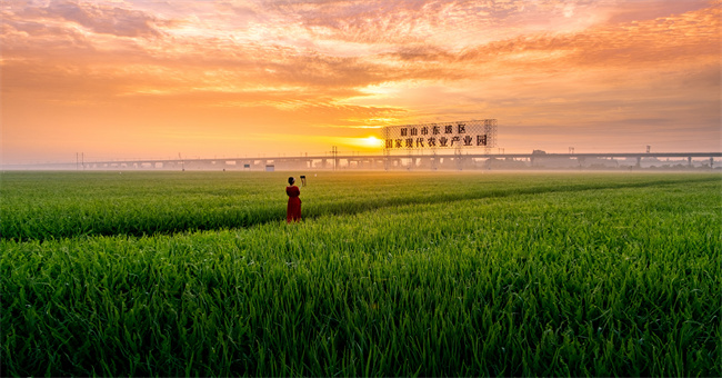 （转载）新质生产力领航现代智慧农业好“丰”光