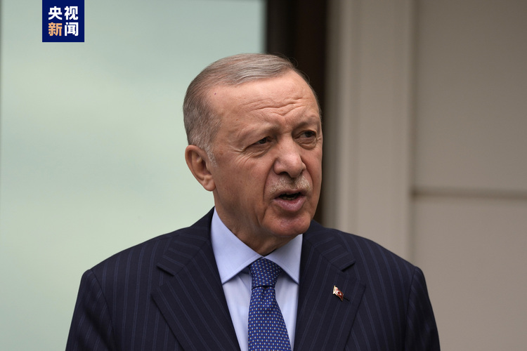 土耳其總統：對中東地區的未來感到擔憂