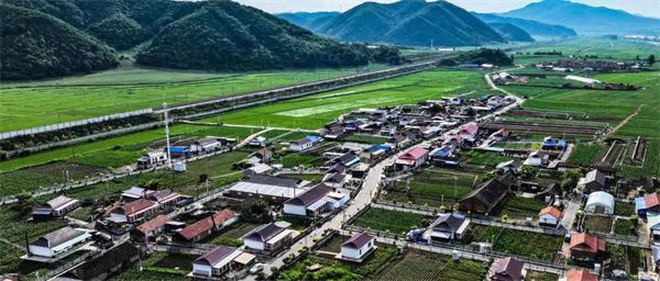 延邊州安圖縣：“四好農村路”串起綠水青山幸福生活_fororder_吉林四好農村路1