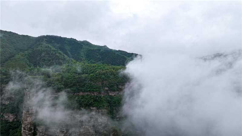 安陽林州太行大峽谷：夏日雲海醉遊人_fororder_圖片8