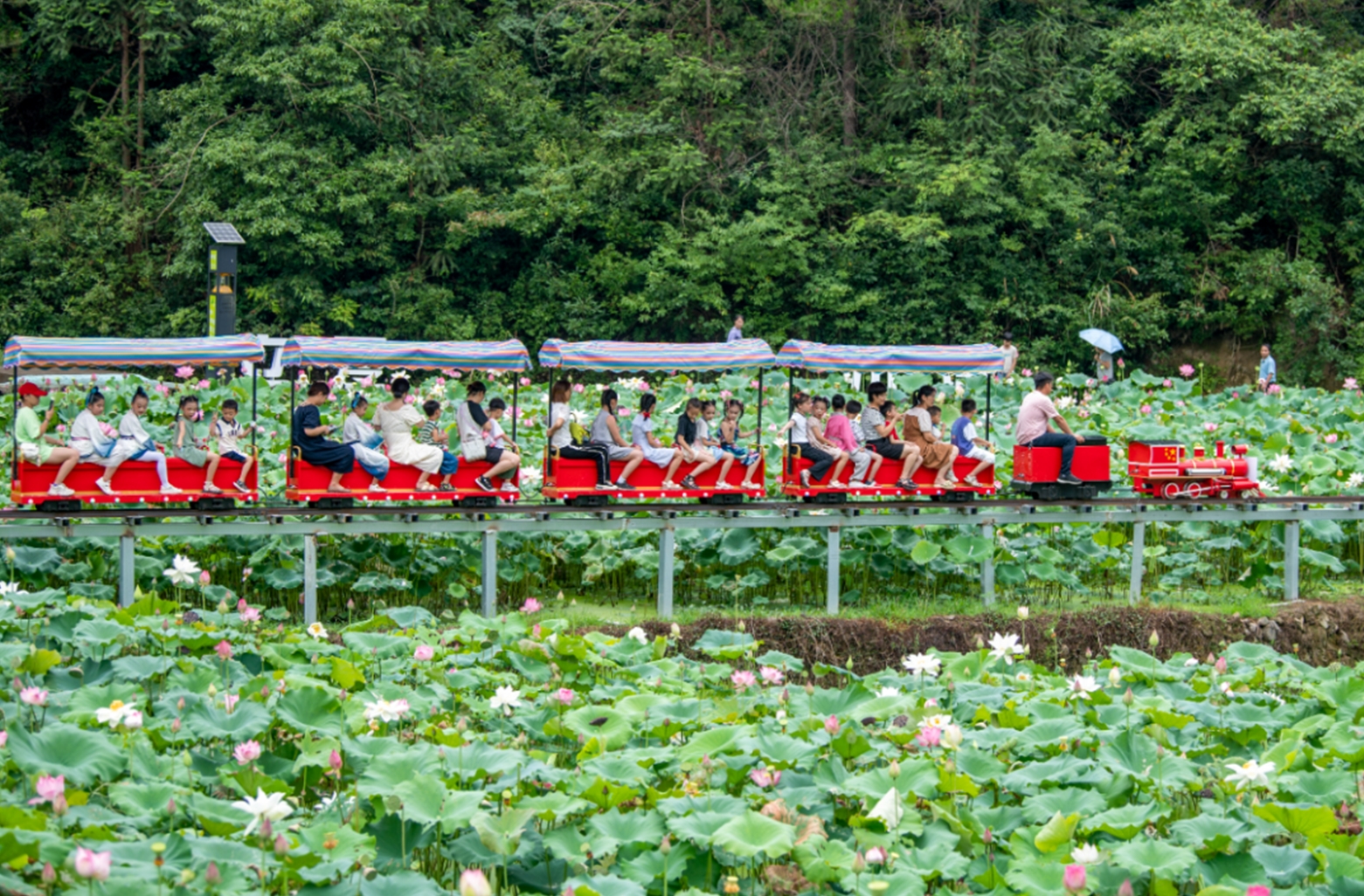 繁花深处 飞驰磐安 坐着高铁来磐安共赴一场夏日清凉之约_fororder_微信截图_20240703113128