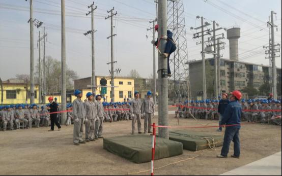 光明·印记——陕西电力文化遗产系列宣传活动（八）| 技培中心：春耕夏芸 桃秾李郁_fororder_图片16