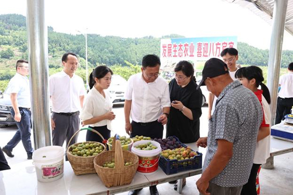 西华师范大学助力阆中乡村发展全面开花_fororder_调研活动现场-供图-西华师范大学(1)