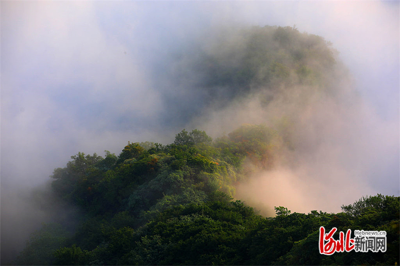 雨后太行山 云海美如画_fororder_hebnewsimg