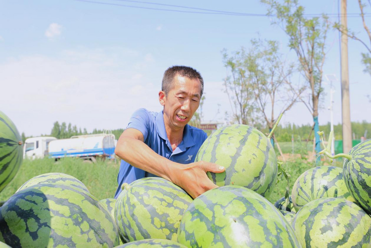 陕西：“税惠到坊”助燃“人间烟火”_fororder_图片1