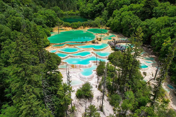 “畅游童话九寨·感受生态魅力”九寨沟第二届国际生态旅游季（成都站）推介活动举行_fororder_微信图片_20240705153247