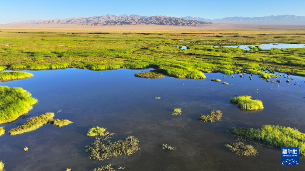 【大美甘肃】甘肃酒泉阿克塞：生机勃勃苏干湖_fororder_3