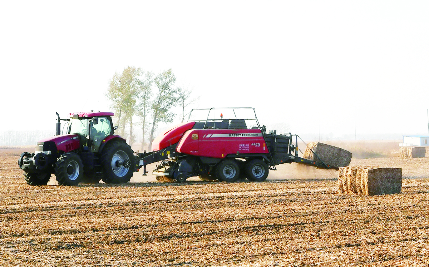 榆树市五棵树镇：大豆轮作 自办加工厂 水肥一体化